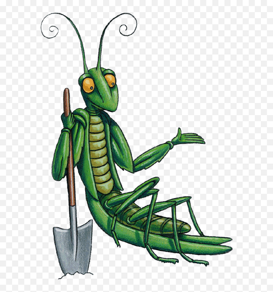 Grasshopper Clipart Secondary Consumer Grasshopper - Junior Master Gardener Emoji,Mantis Emoji