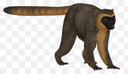 World Monkey - Toy Golden Bamboo Lemur Emoji,Lemur Emoji