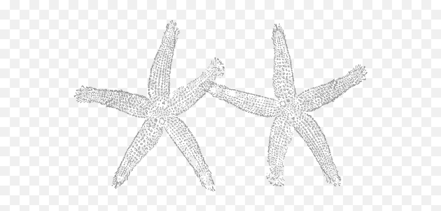 Black And White Starfish Coloring Pages Starfish Image 6 Png - Fish Clip Art Emoji,Starfish Emoji