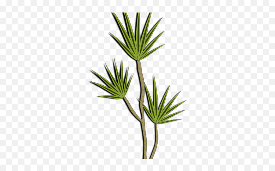 Desert Clipart Desert Bush - Png Download Full Size Desert Shrub Clipart Emoji,Desert Emoji