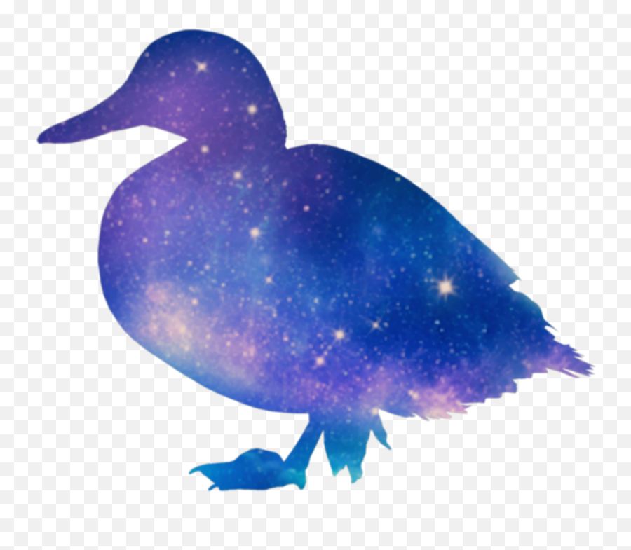 Duck Sticker Challenge - Animal Figure Emoji,Heart Eyes Emoji Duck
