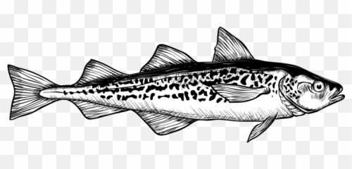 Genuine Alaska Pollock Producers - Fish Products Emoji,Spyglass And Fish Emoji