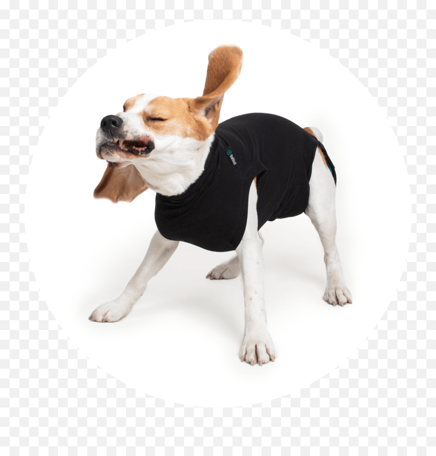 Suitical Dog Recovery Suit Small - Pooperané Obleenie Pre Psa Emoji,Dog Dog Heart Emoji Puzzle