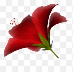 High Resolution Clip Art - Clipart Best Flower High Quality High Resolution Emoji,Hawaiian Flower Emoticon