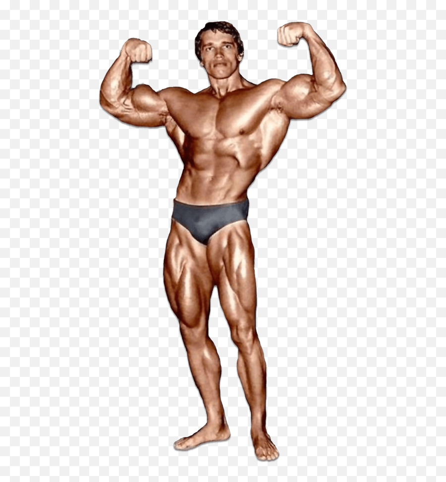 Arnold Schwarzenegger - Arnold Schwarzenegger Bodybuilding Transparent Background Emoji,Schwarzenegger Is Not An Emotion