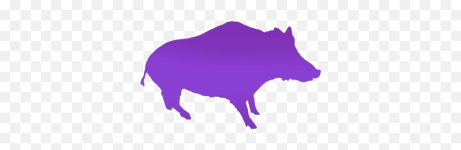 Boar Wild Pig Png Background Hd Pngimagespics - Animal Figure Emoji,Pig Emoji Mages Transparent Background
