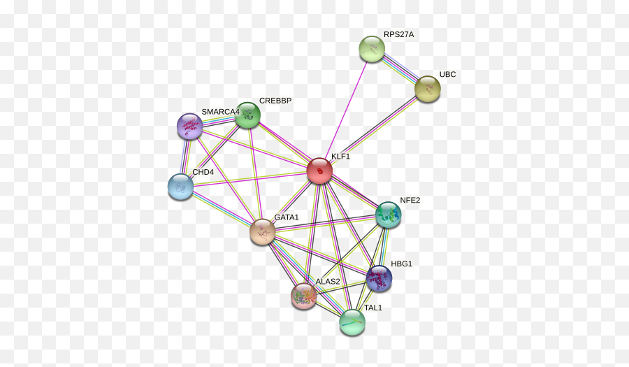 Klf1 Protein Human - String Interaction Network Emoji,Emotion Regulation Circuit