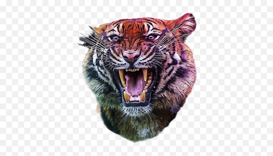 Anger Png Images Download Anger Png Transparent Image With Emoji,Bengal Tiger Emoji