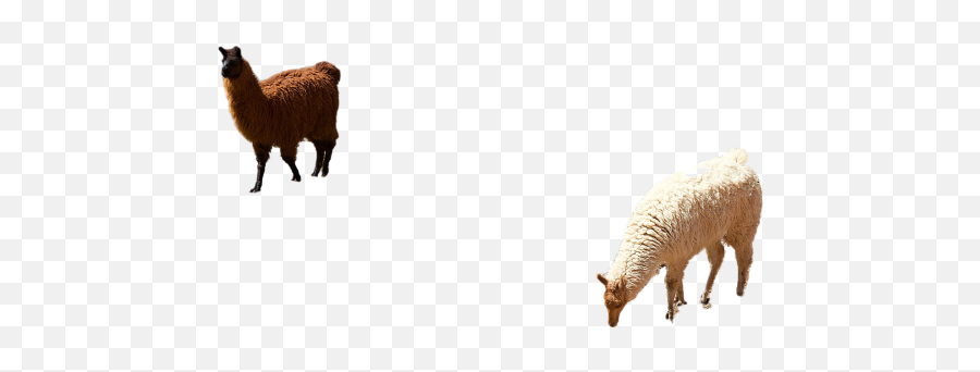 Shear Png Images Download Shear Png Transparent Image With Emoji,Alpacka Emoji For Slack Shear Png Images Download Shear Png Transparent Image With Emoji,Alpacka Emoji For Slack