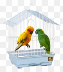 Discover Trending Emoji,Parakeet Emoji