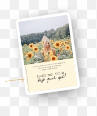 Blog U2014 Follow Your Sunshine - Happy Emoji,Sunshine Emotions