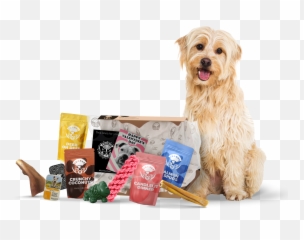 Willowu0027s First Birthday Celebration U2013 Whatu0027s Good To Do - Dog Food Emoji,November Birthday Emojis