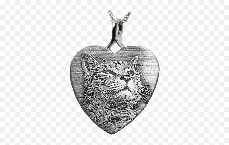 Custom Pet Photo Heart Pendant Pet Cremation Jewelry - Cat Pet Cremation Jewelry Emoji,Emotion Jewelry Pintrest