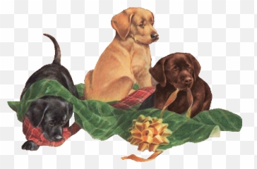 Glitter Graphics Graphic - Dog Supply Emoji,Vizsla Emoji