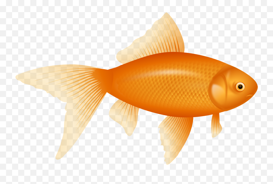 Meat Clipart Smoked Fish Meat Smoked Fish Transparent Free - Goldfish Clip Art Emoji,Fish And Horse Emoji