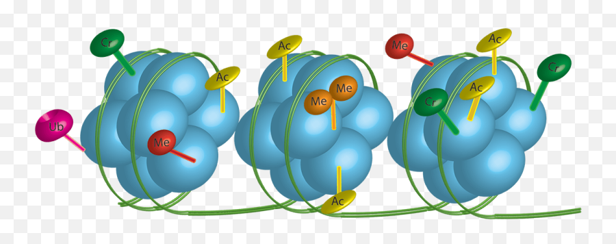 Michael Goldstein Lab - Epigenetic Clipart Emoji,Water Magnified Pics With Different Emotions