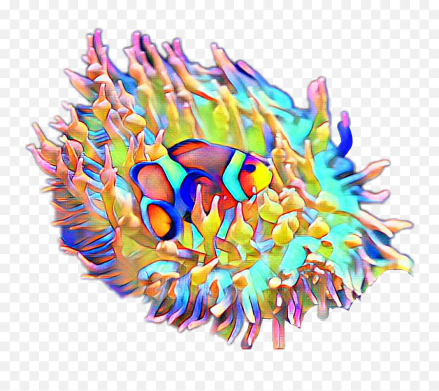 Fteseacreatures Anemone Clownfish Fish Emoji,Coral Emoji