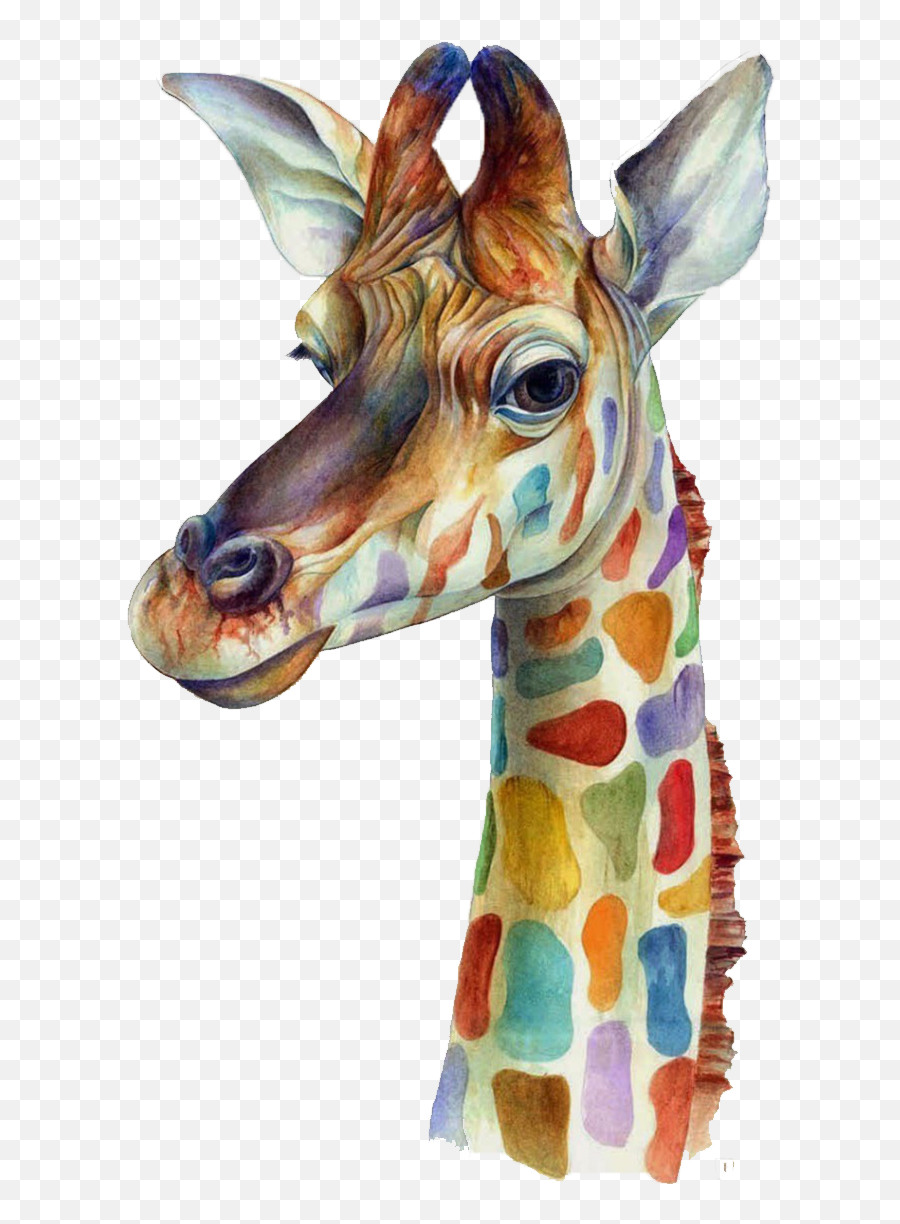 Download Watercolor Giraffe Plus Iphone 4s Png Download Free - Giraffe Acrylic Painting Emoji,Emoticons For Iphone 4s