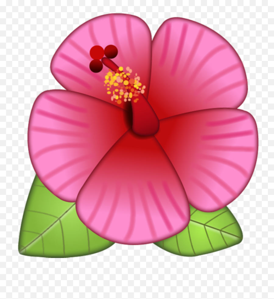 Flower Wilted Flower Emoji Meaning On Instagram - Transparent Background Flower Emoji,Instagram Emoji