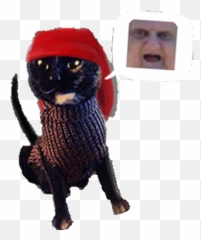Wat - Cat Apparel Emoji,Tasmanian Devil Emoji