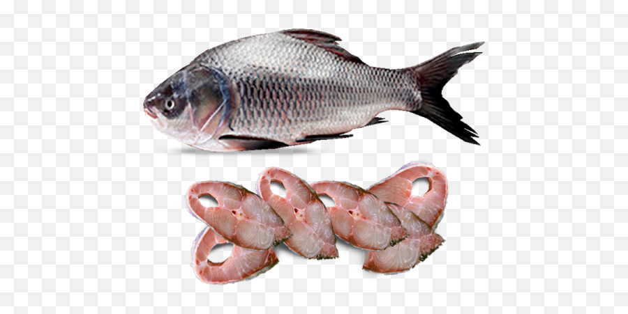 Order Fish Online - Fresh Fish Online Delhi Online Fish Catla Fish Curry Cut Emoji,Paramount Emotions Noida Extension