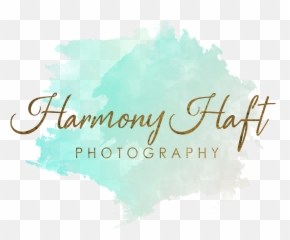 Harmony Haft Photography - Language Emoji,Be Cool Steven Tyler Sweet Emotion
