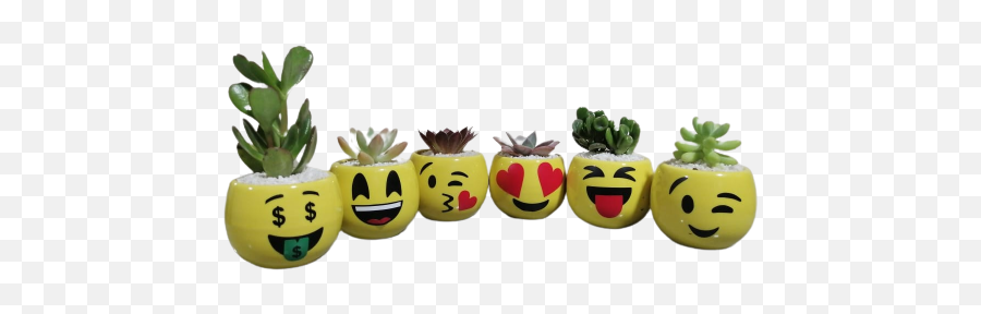 Set De Planta Matera De Emojis - Happy,Promocion Emojis