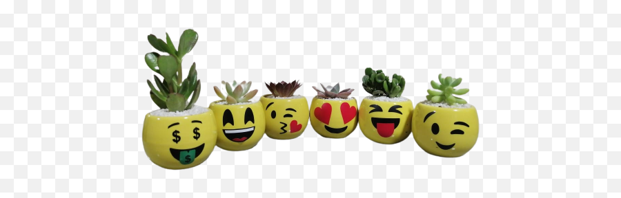 Set De Planta Matera De Emojis - Happy,Promocion Emojis Set De Planta Matera De Emojis - Happy,Promocion Emojis