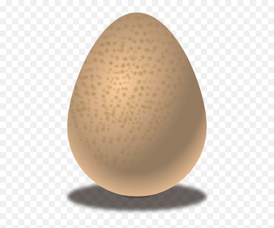 Free Photo Food Vector Egg - Oval Emoji,Emotions On Eggs