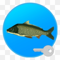 Emoji Blast 1,Free Fishing Emojis