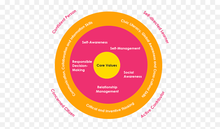 Social - Emotional Development U2013 Queenstown Secondary School 21st Century Skills Emoji,Emotions Description