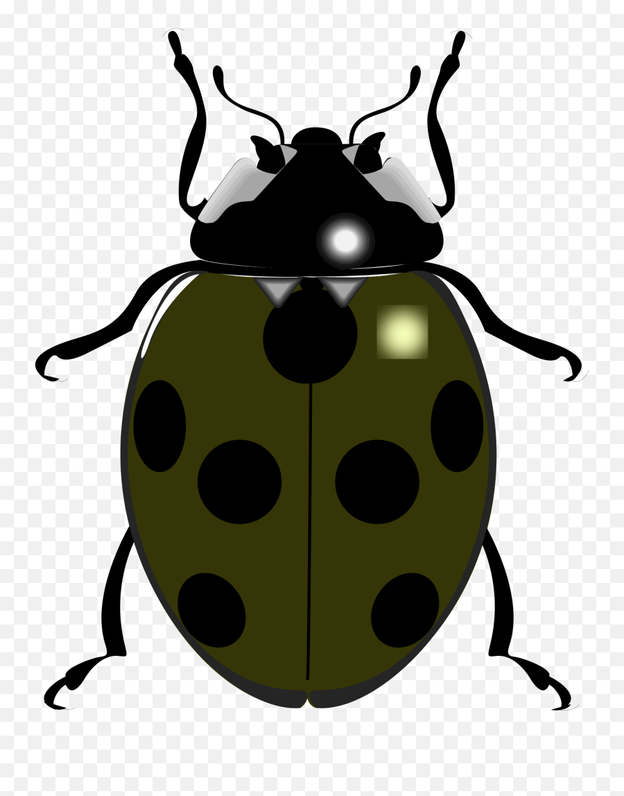 Fileladybugsvg - Wikimedia Commons Emoji,You've Had Enough Emotions Today Ladybug