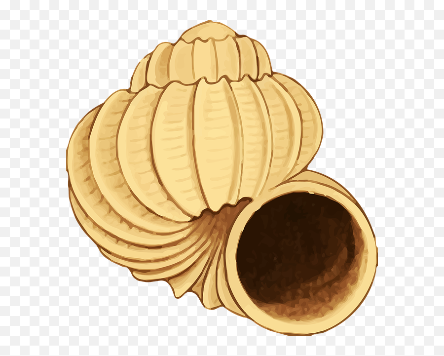 Beach Baamboozle Emoji,Sea Shell Emoji