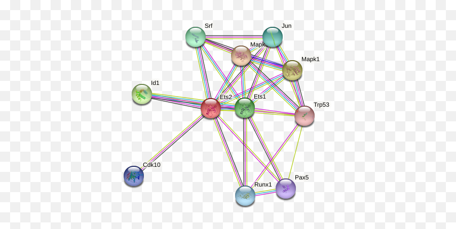 Ets2 Protein Mouse - String Interaction Network Dot Emoji,Emotion Sensing Cat Ears