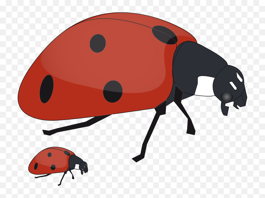 Free Free Bug Clipart Download Free - Mommy And Baby Bugs Emoji,Sleep Ant Ladybug Ant Emoji