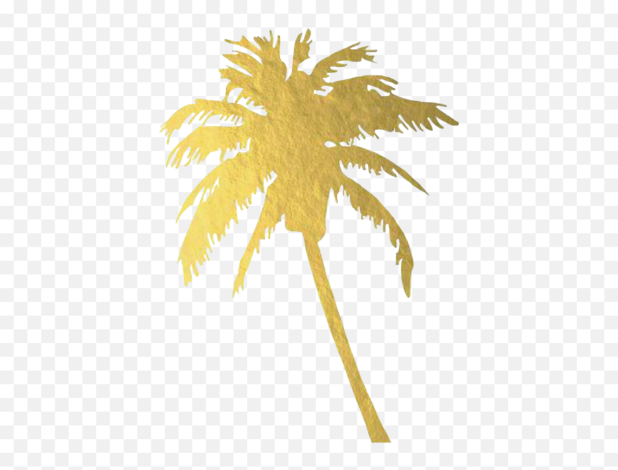 Report Abuse - Gold Palm Tree Png Full Size Png Download Transparent Gold Palm Tree Emoji,Palm Tree Emoji