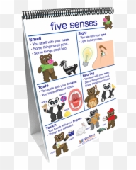 Pin On Child Care Professional - Flip Chart Emoji,Cat Emotions Ear Chart