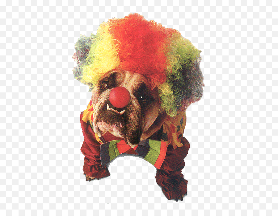 Alone In Fear - Dog Costume For Clown Emoji,Anger Emotion Gif Inside Out