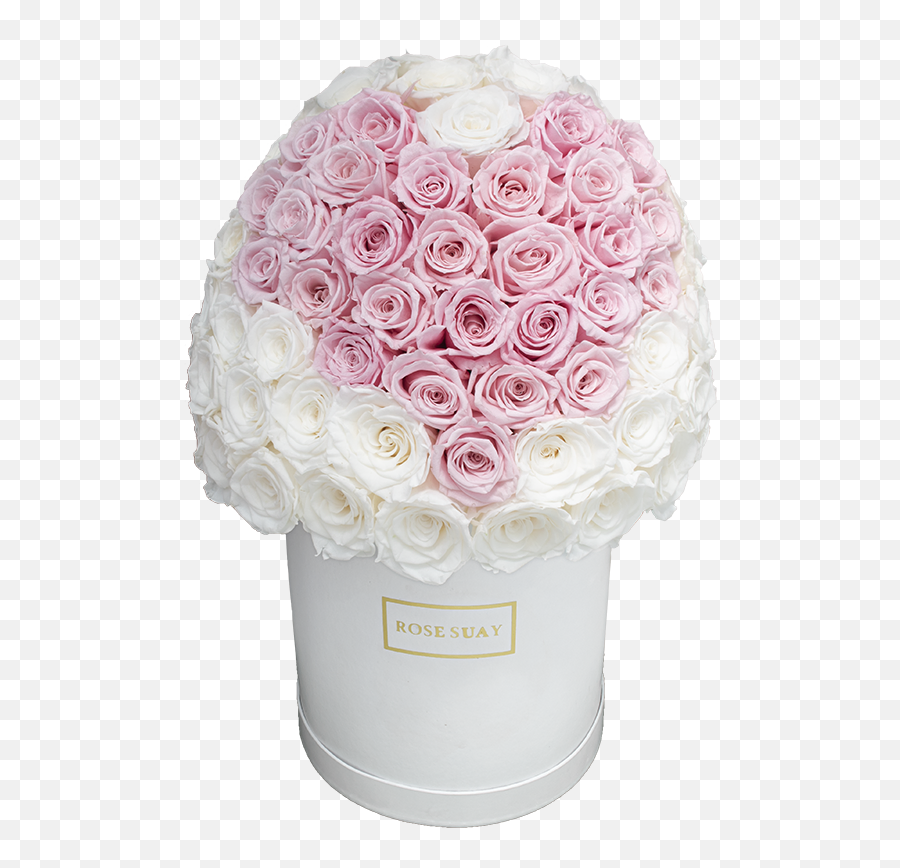 Pink Rosesuay - Cylinder Emoji,Deep Emotions Roses