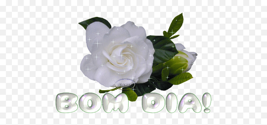 Imagens Fotos E Gifs Sobre Bom Dia - Página 18 Flores Bom Dia Gifs Emoji,Mensagem De Bom Dia De Deus Vom Emoji Imagens Fotos E Gifs Sobre Bom Dia - Página 18 Flores Bom Dia Gifs Emoji,Mensagem De Bom Dia De Deus Vom Emoji