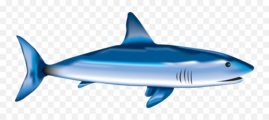 Fish Shark Sea Drawing Free Image Download - Hiu Png Emoji,Fish Relating To Emotions