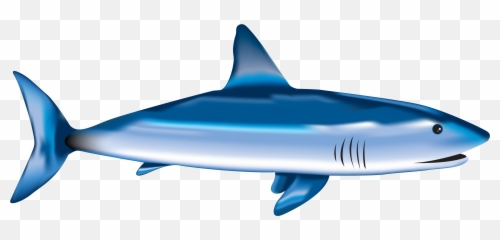 Fish Shark Sea Drawing Free Image Download - Hiu Png Emoji,Fish Relating To Emotions