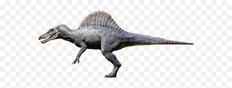 What Are Some Extinct Animals That Would Be A Major Problem - Jurassic World Dominion Spinosaurus Return Emoji,Dinosaur Emotion Cards