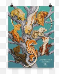 Crested Gecko Poster - Crested Gecko Art Emoji,What Does Color Say About Crested Geckos Emotion