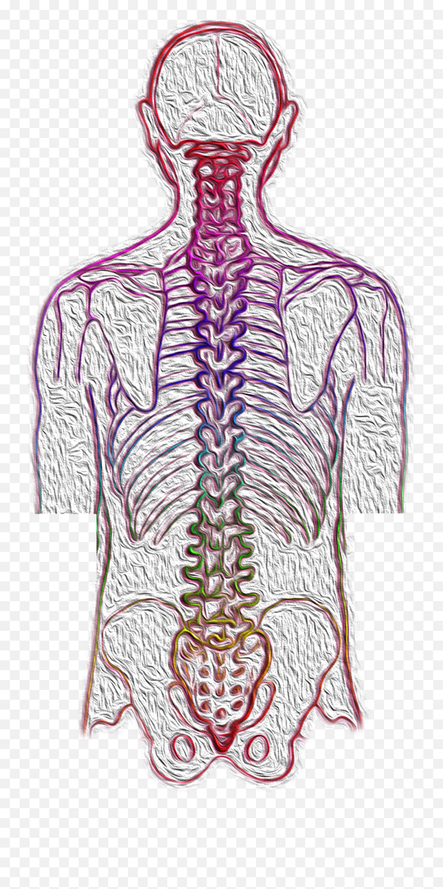 Free Photos Nervous System Search - Chiropractic Treatment Emoji,Ridiculas Emoticon