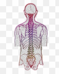 Free Photos Nervous System Search - Chiropractic Treatment Emoji,Ridiculas Emoticon