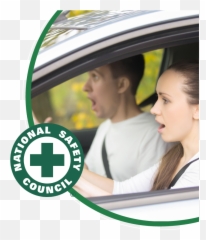 Defensive Driving Courses Chicago - South Carolina National Safety Council Logo Emoji,Dmv Emotions And Driving