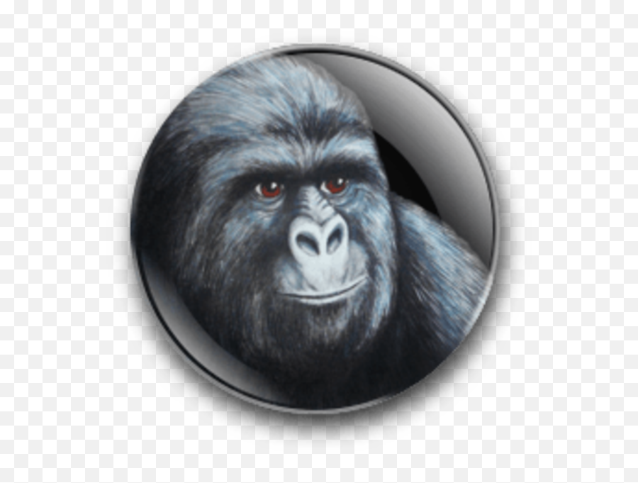 Jimmies Badge No Text That Really Rustled My Jimmies Emoji,Gorillas Emotions