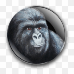 Jimmies Badge No Text That Really Rustled My Jimmies Emoji,Gorillas Emotions