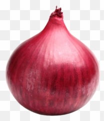 Elm Foods Emoji,Windows Onion Emoji Vector